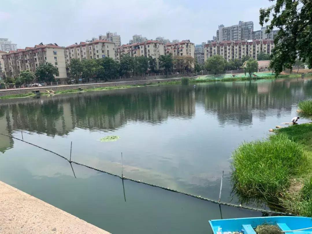 富丽山庄,富丽山庄好吗