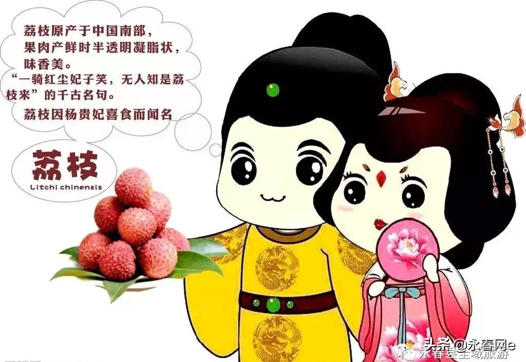 永春岵山荔枝节几点开始,永春岵山第十一届荔枝节