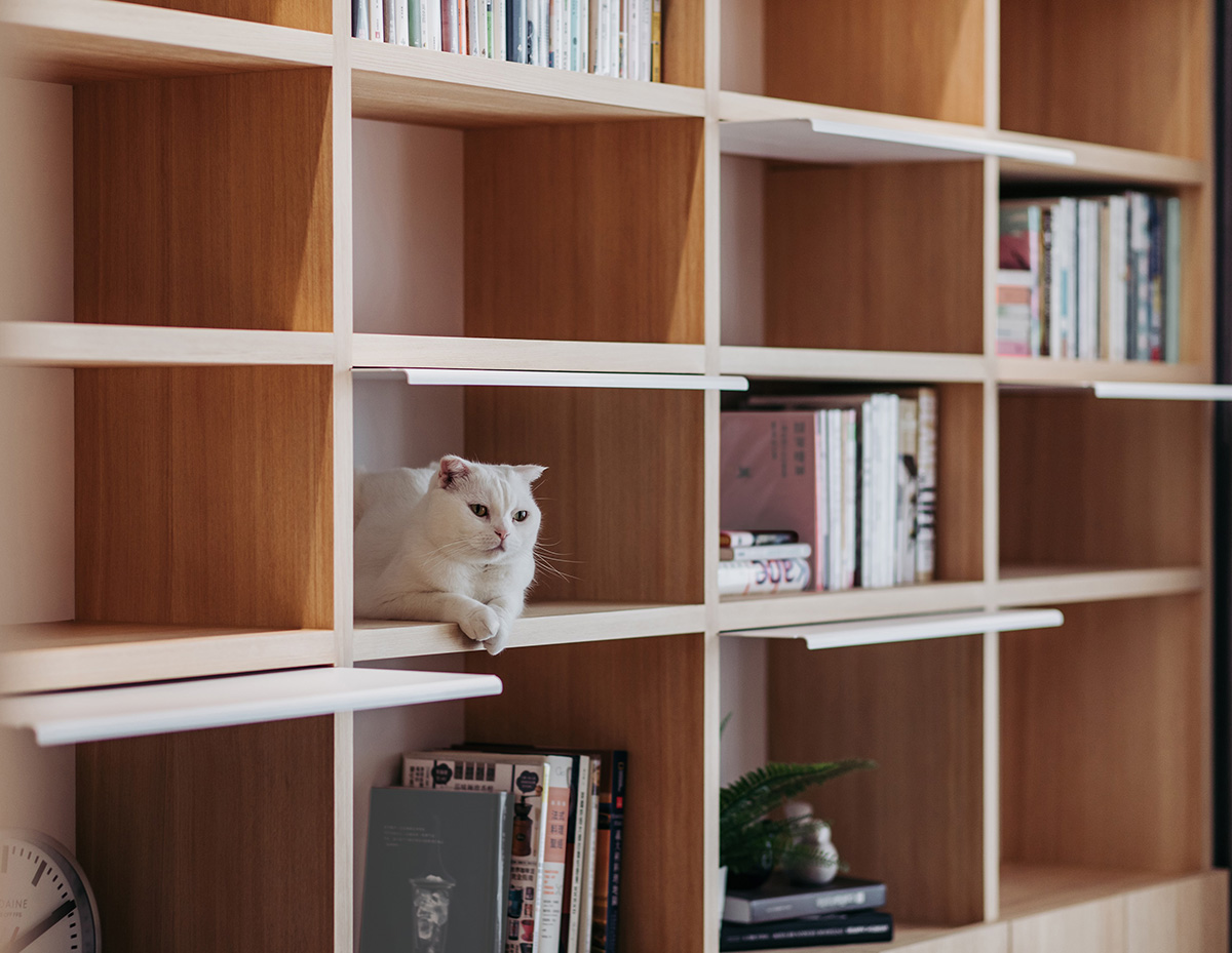 在日式原木家里，冲煮一杯咖啡，和猫一起度过漫漫时光