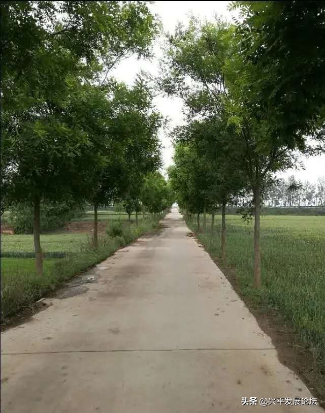 回忆过去珍惜现在展望未来,回忆过去珍惜现在的句子