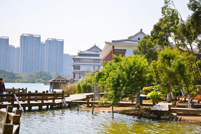 厦门最应该去的公园免费的,厦门十大经典公园