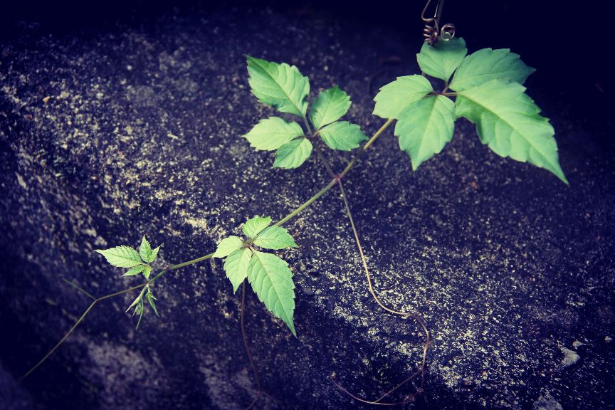 比60d高端的相机,60d单反相机价格