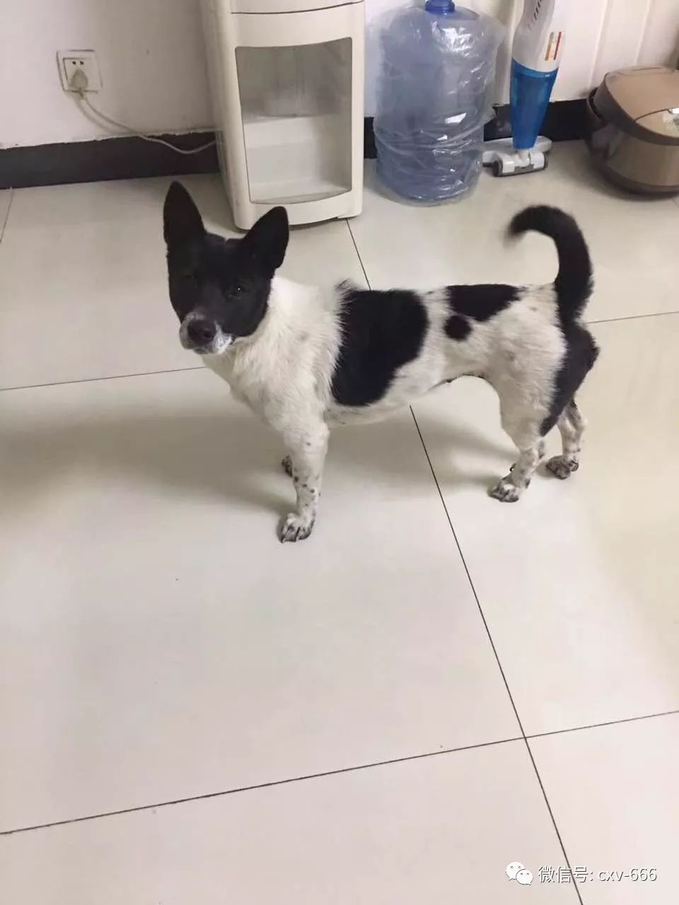 湖南省怀化市辰溪县招工信息,湖南怀化辰溪工作招聘