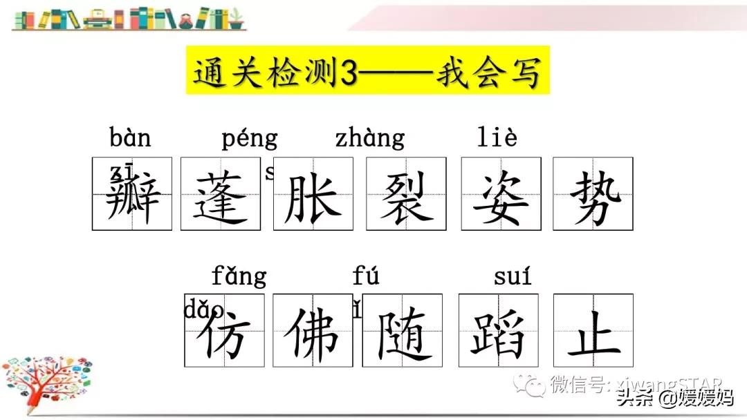 三年级下册荷花ppt课件部编版,三年级下册语文第三课荷花小练笔