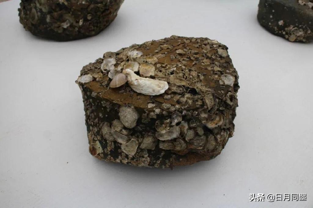 往事丨1992年，他们在武汉策划了一次消毒艺术运动