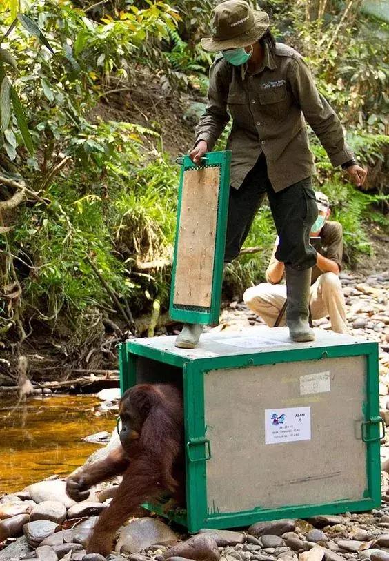 她被非人囚禁6年做*奴性**，每天擦口红喷香水……人性有罪恶极限吗？