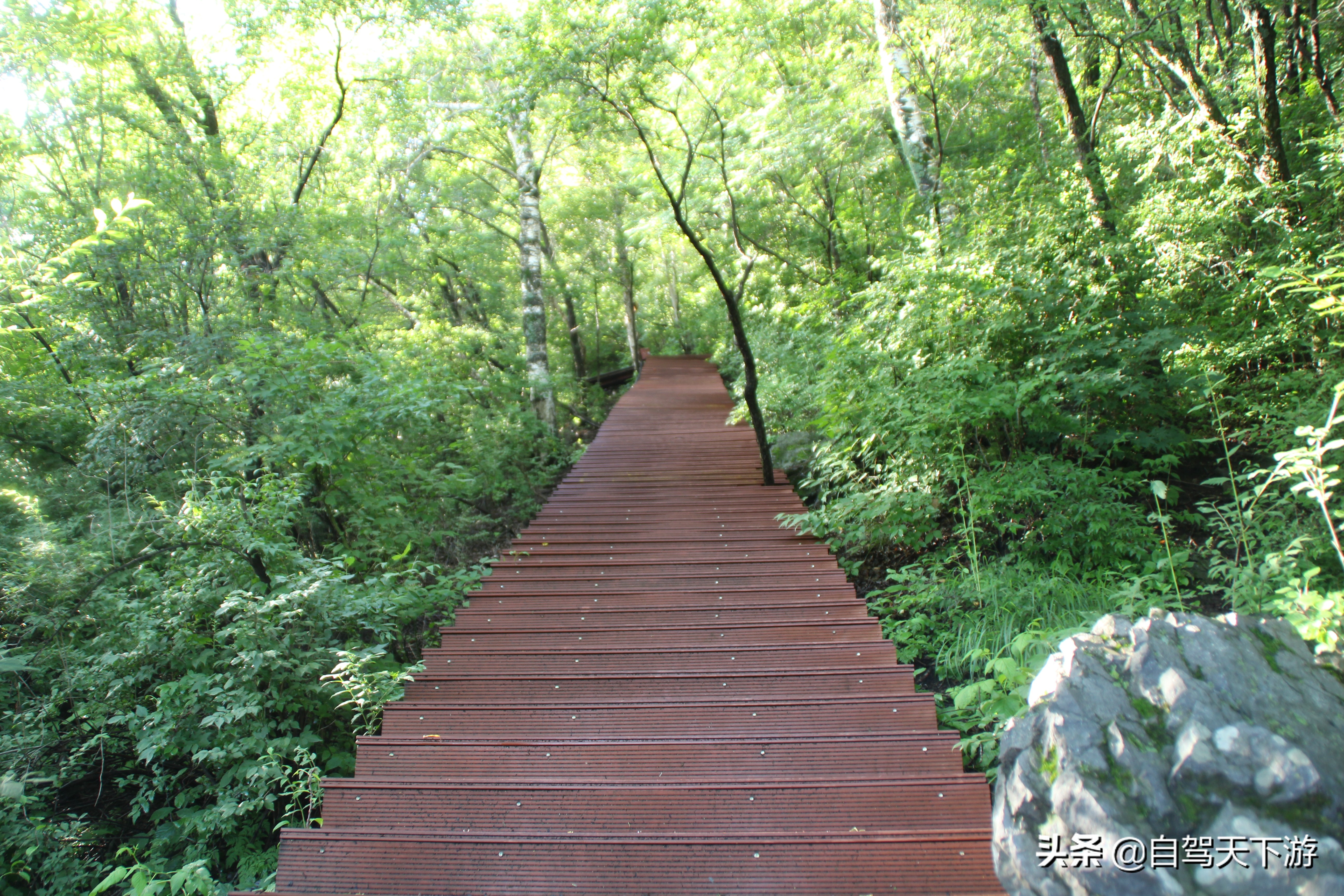 野三坡白草畔攻略,野三坡白草畔自驾游