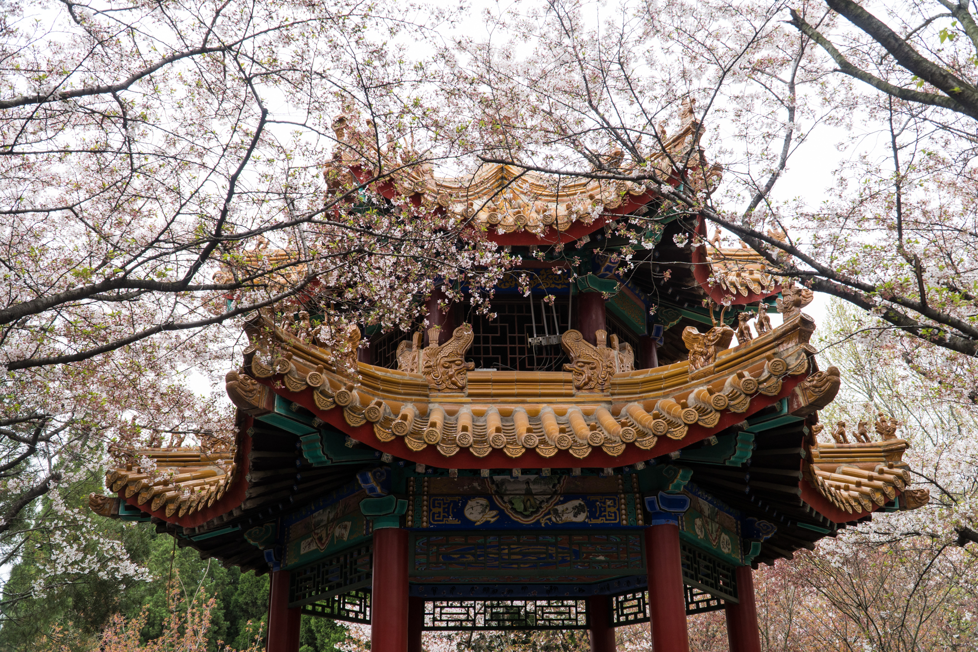 徐州周末郊游的好地方,徐州自然风光好去处