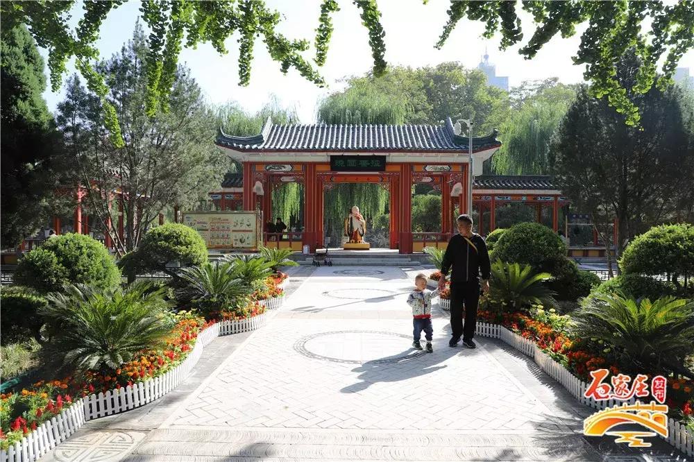 四十年前石家庄街景视频,石家庄40年