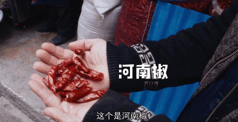中国美食男人帮又出手了!这神作,能一口气看五集算我输