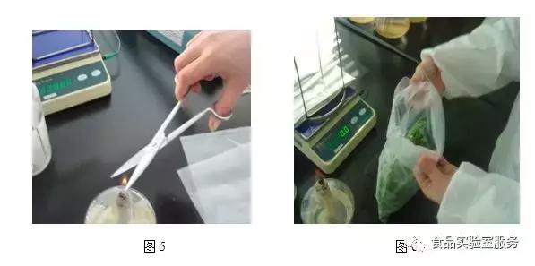 微生物的选择培养接种方法,微生物选择培养的对照处理方法