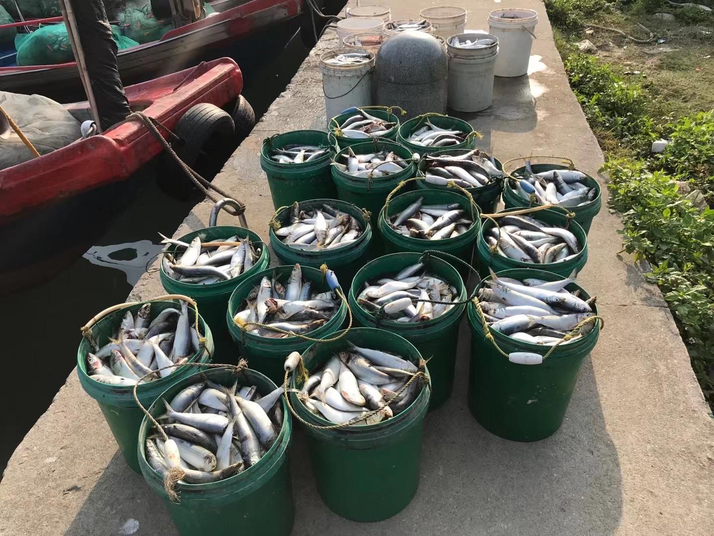 深汕高速公路鲘门服务区下一站,深汕服务区离鲘门服务区有多远