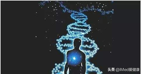 一代基因测序和二代基因测序,基因测序可以看到什么