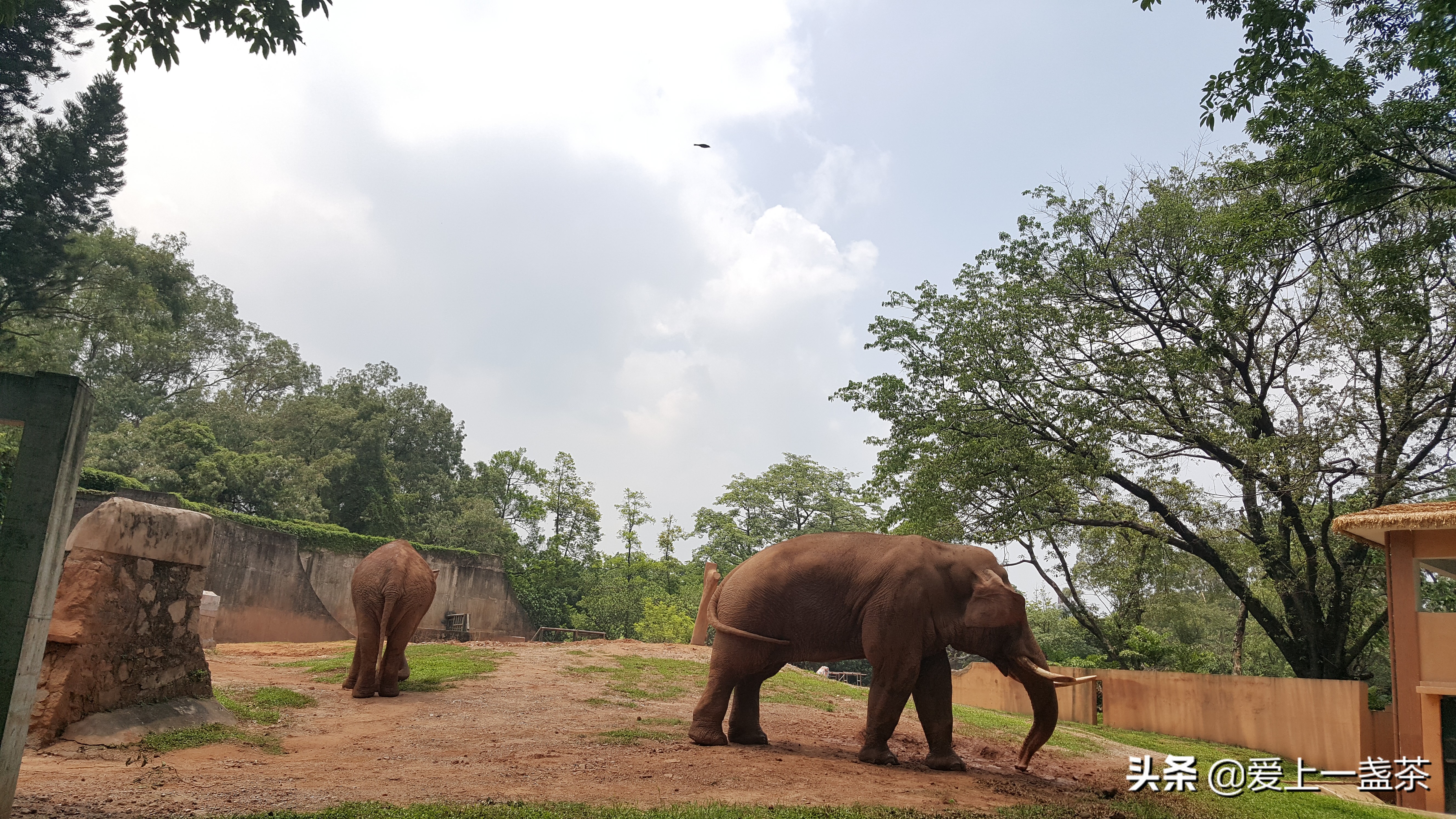 周末好去处儿童动物园,六一儿童节必打卡景区动物园推荐