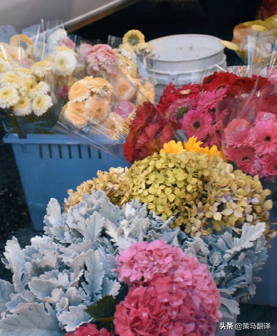 在蒙特雷工作生活,在世界顶级大学上学什么感受