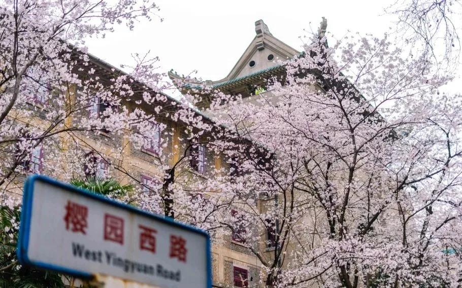 武汉重启一周年浴火重生再创辉煌,浴火重生后崛起的武汉