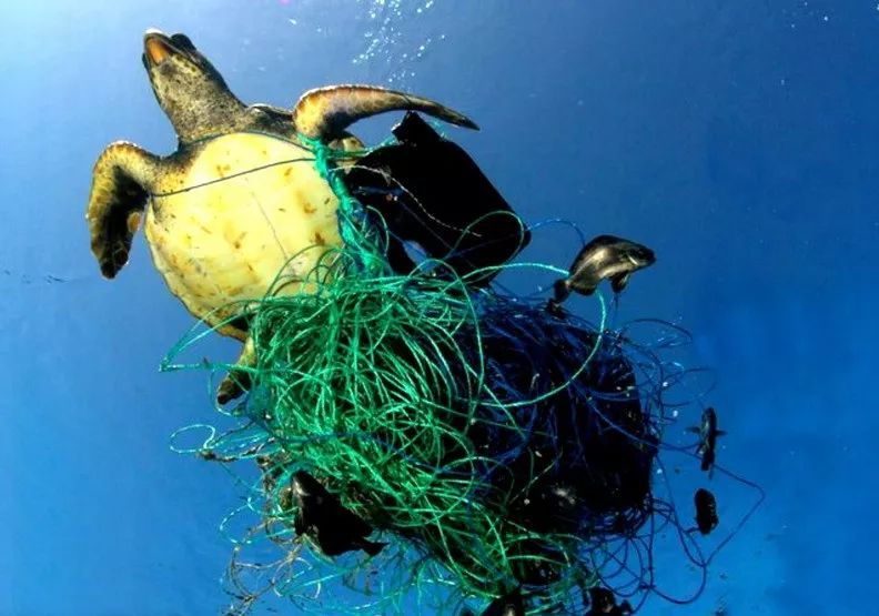 不进行垃圾分类地球会怎样 (我们可以怎样阻止垃圾分类)