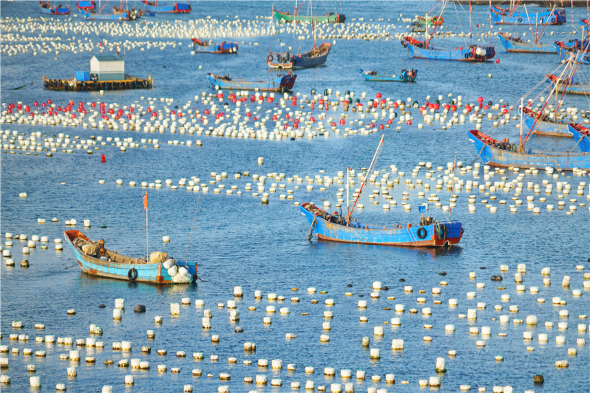 嵊泗美食推荐攻略,嵊泗列岛旅游攻略美食