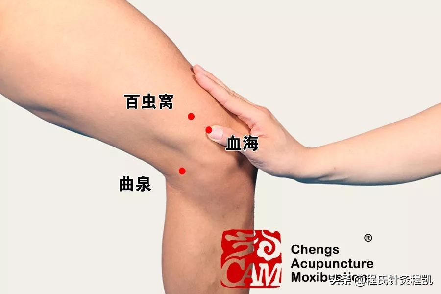 中医证型：脾胃湿热是怎么回事，该如何调理？