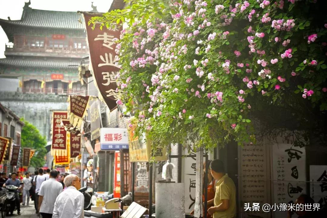 向洛阳人发出邀请国潮盛宴来袭,洛阳发布通知