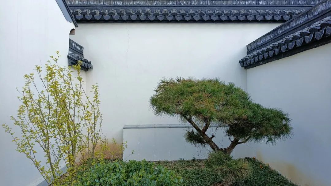 发现石家庄一个人少景美的公园,石家庄市区的公园