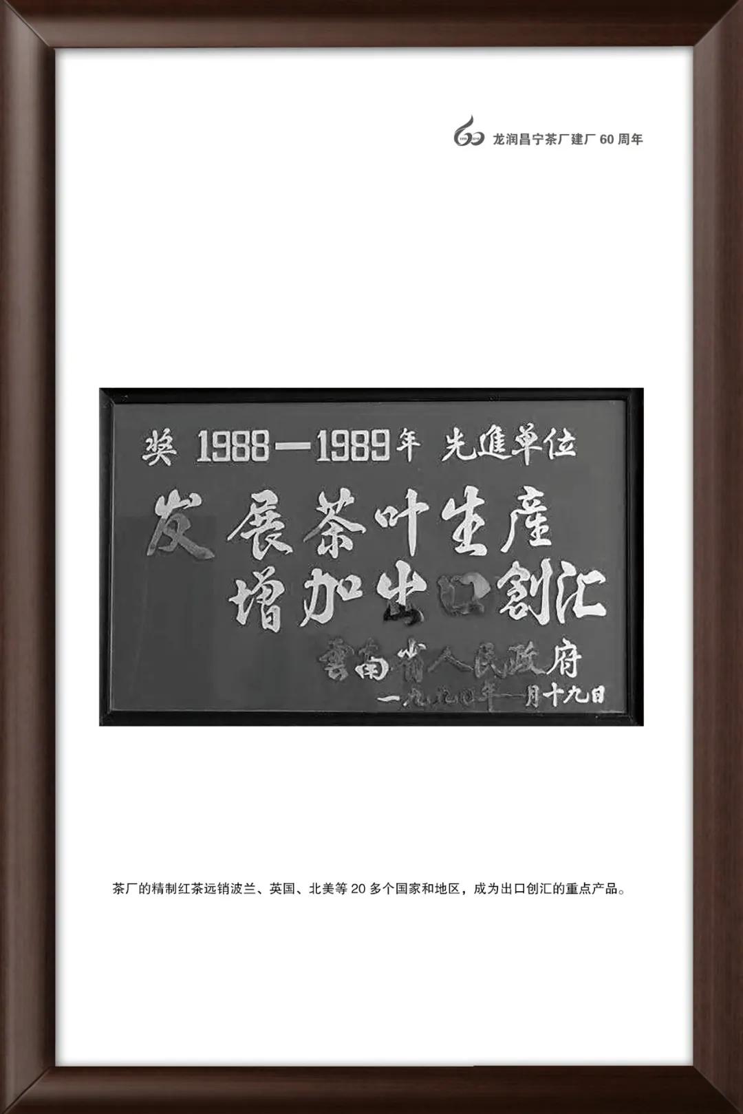 龙润茶大金芽1958,龙润大金芽好茶