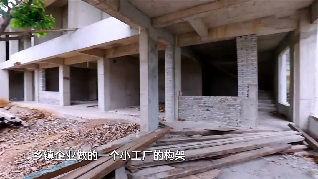 5位单身阿姨,抱团买房养老,520平189W装成山间别墅