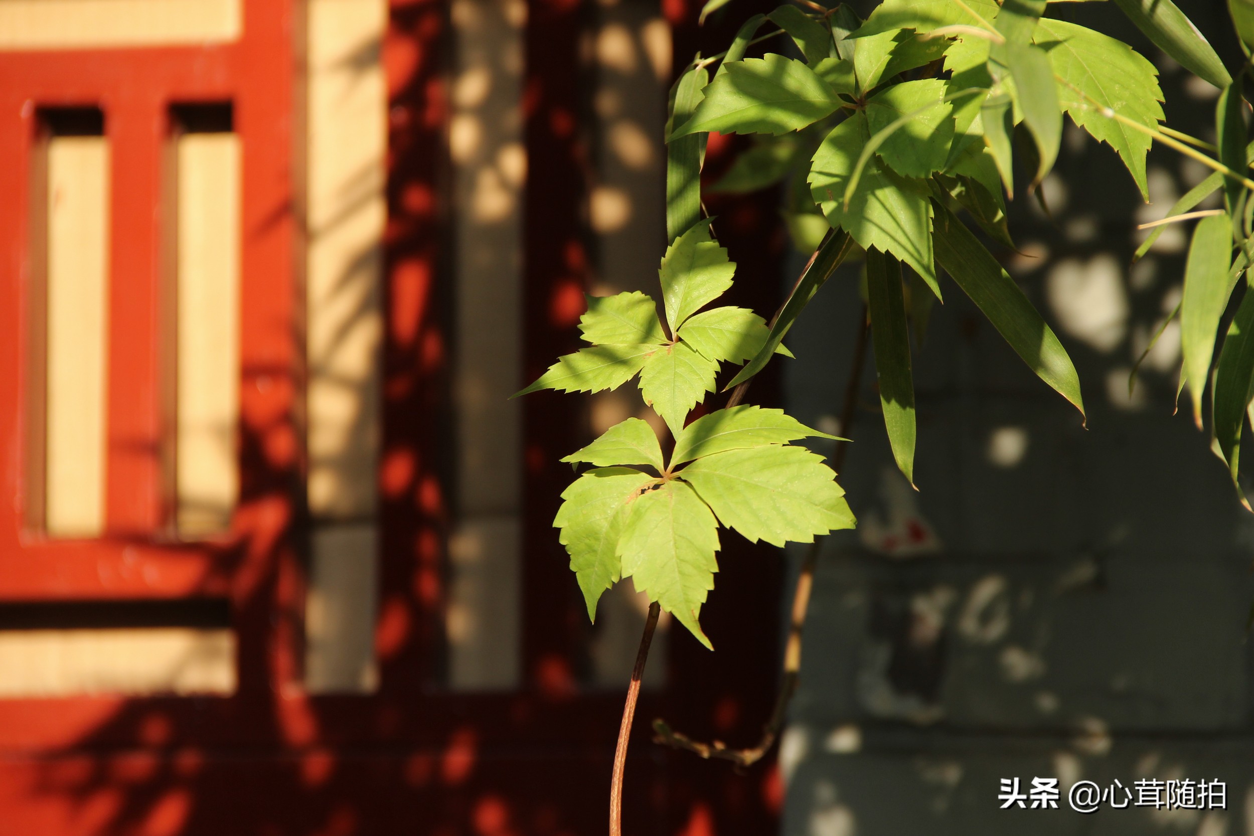 南锣鼓巷是游客向往的地方,南锣鼓巷没有了昔日的繁华