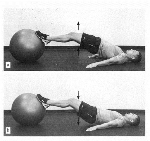 专项体能测评及训练注意事项,专项体能训练的作用