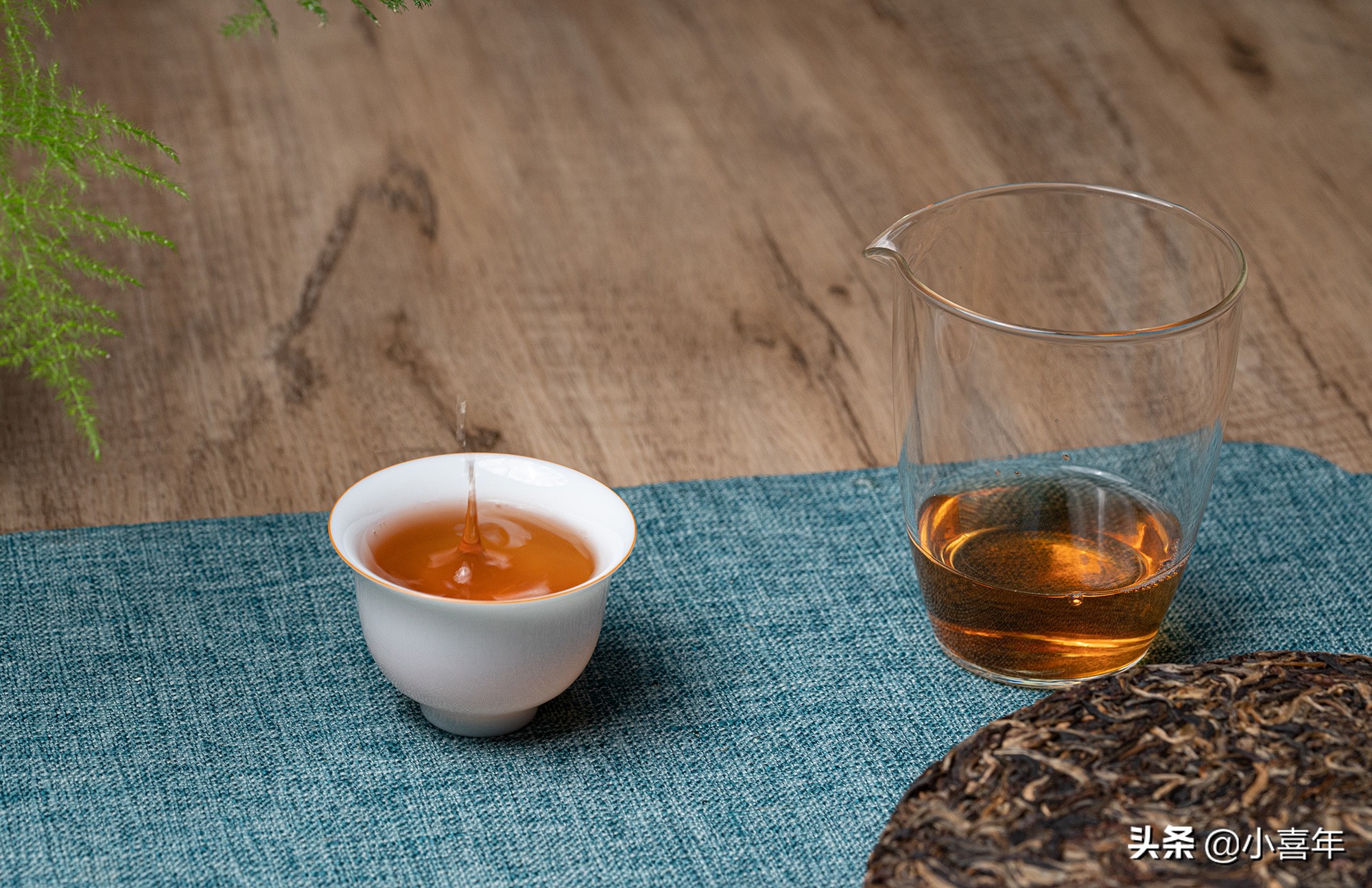 十大山头普洱茶及其特点全面解析,真正值得收藏的山头普洱茶是哪种