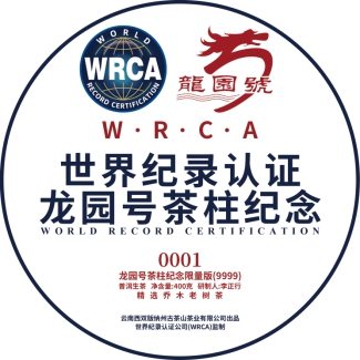 WRCA×龙园号:“世界最大的可移动茶柱”通过世界纪录认证