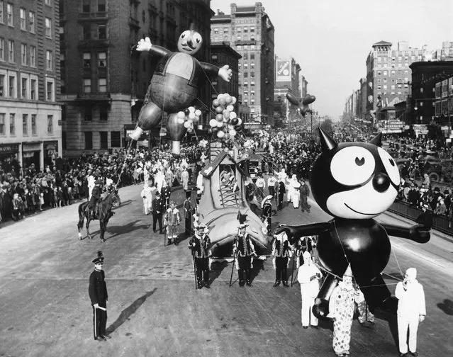 黑猫不吉利是谁说的,黑猫不吉利是真的吗