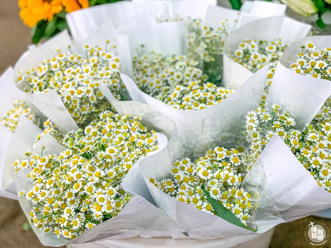 昆明鲜花进货渠道,昆明尚义花市