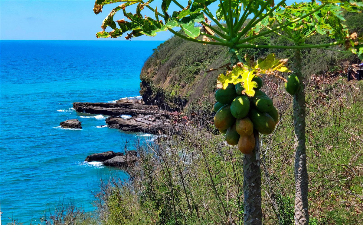 广西北海涠洲岛的火山岛介绍,涠洲岛是中国最年轻的火山岛吗