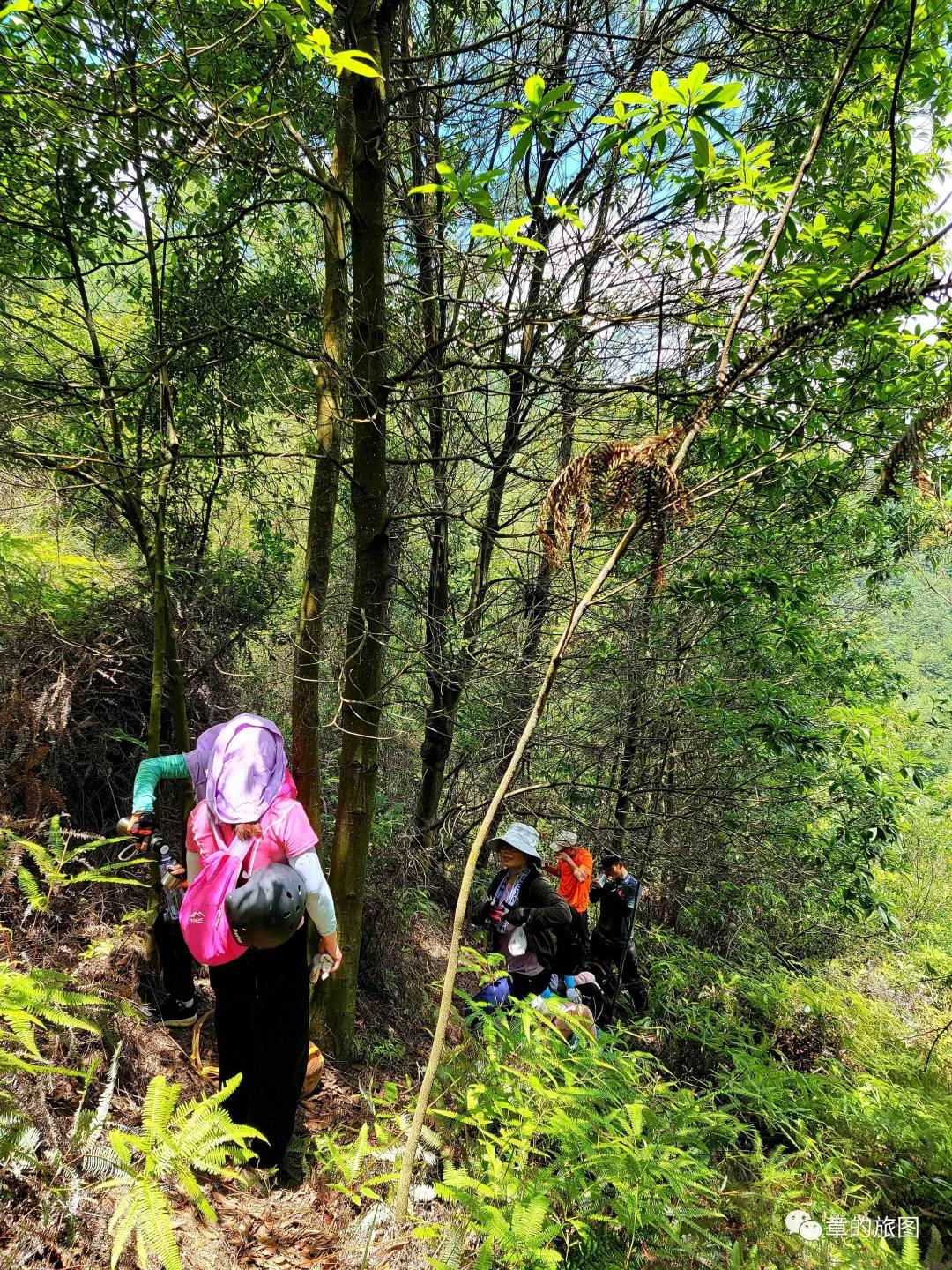 安溪野狼谷风景区,安溪野狼谷徒步