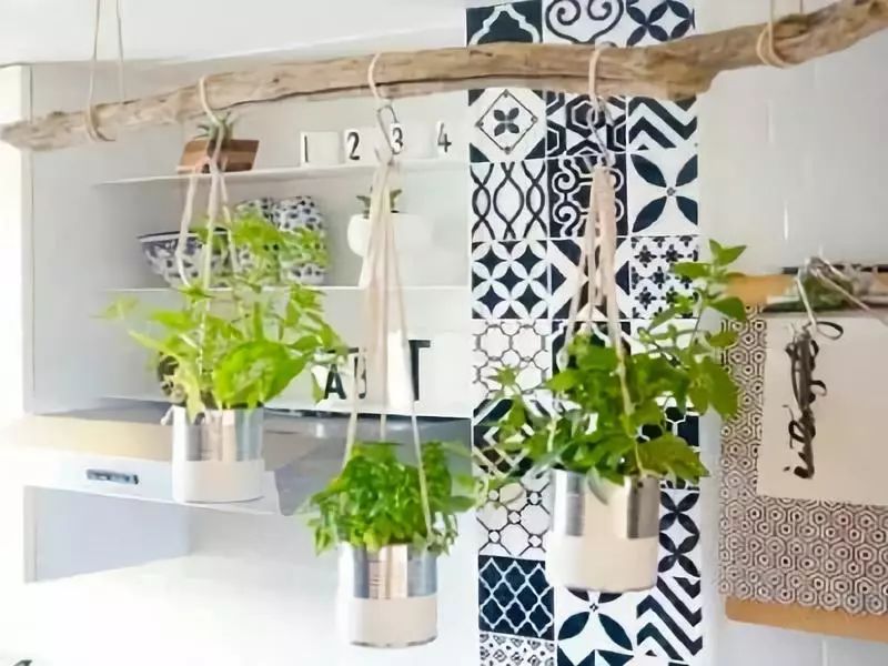 室雅何须大，花香不在多，在小屋里赏花种草，把日子过得刚刚好