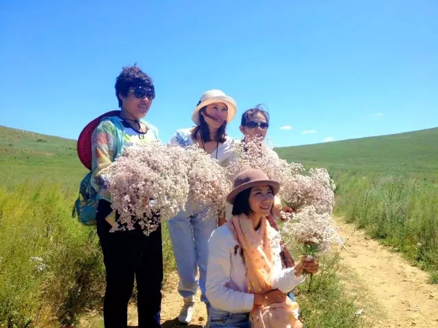 旅行去看草原美景,去草原撒欢视频