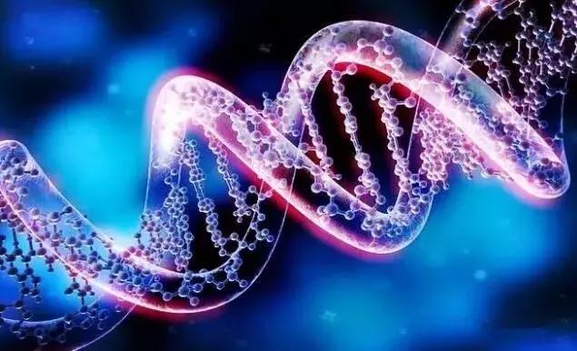 被鱼胶原蛋白骗惨的中国女孩,别再执迷不悟了