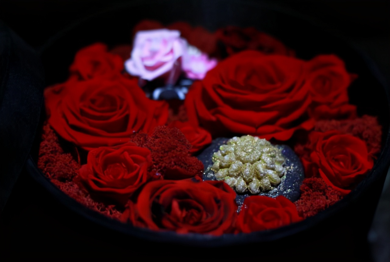 哪种花叫永生花,有种花叫永生花