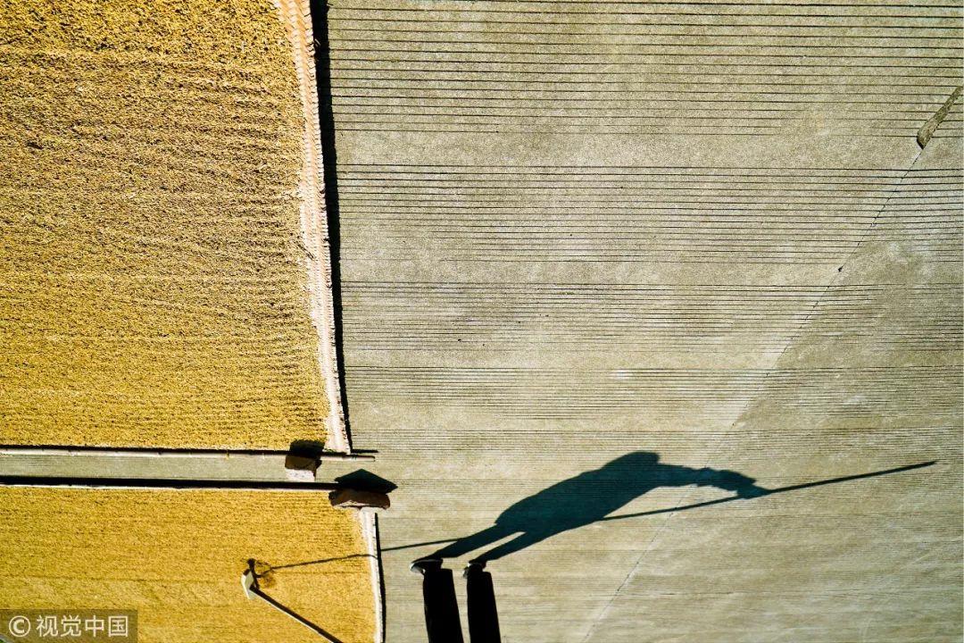 硬核版小猪佩奇吐槽,小猪佩奇硬核中国年