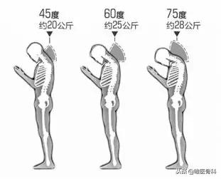 中央二台乌龟颈矫正训练,针对自己的乌龟颈怎么矫正