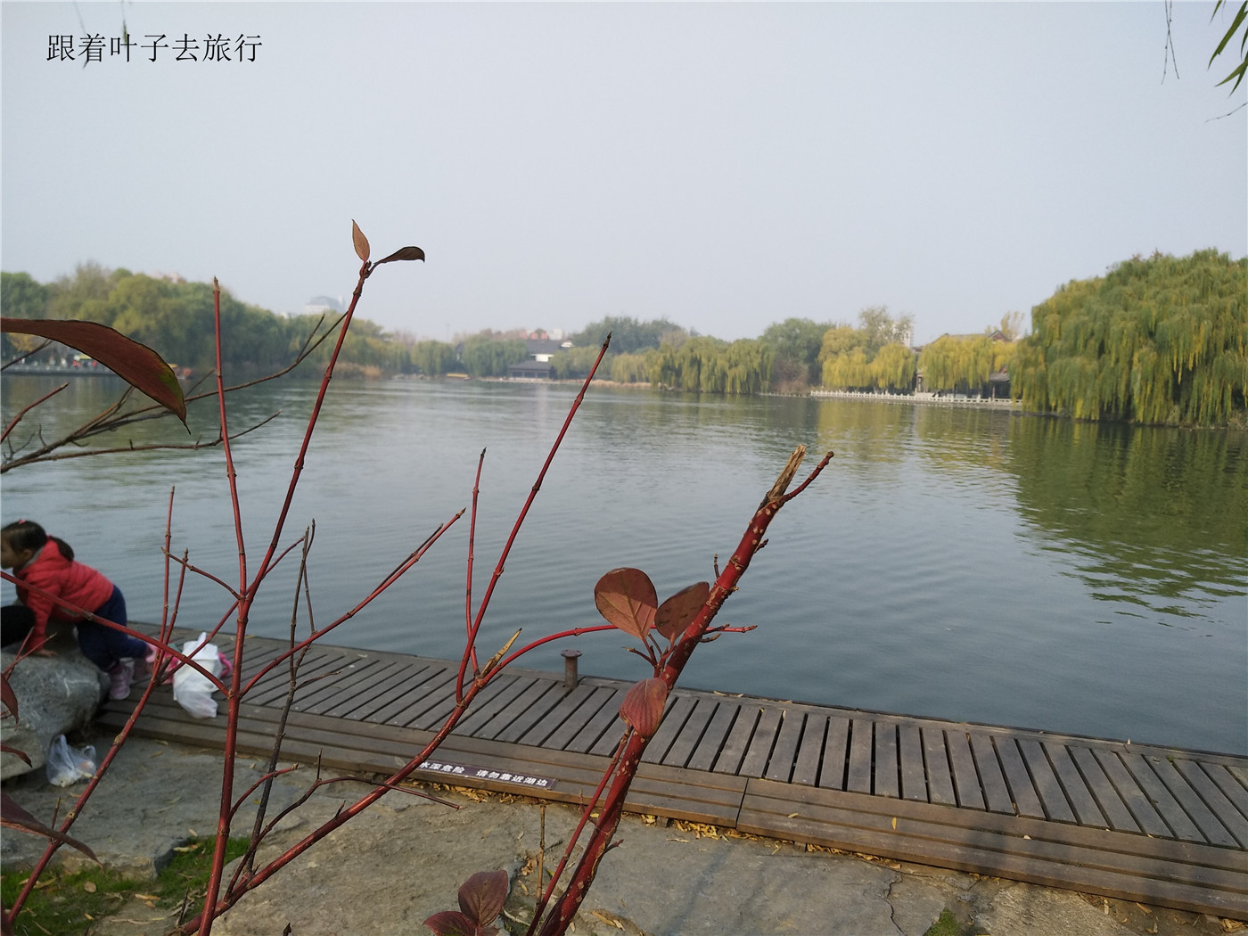 大明湖畔南丰祠雨荷厅前的荷花池,大明湖南丰祠的传说