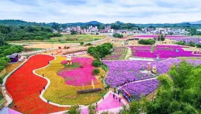 偷偷告诉你驴友们常去的从化小众特色小镇~比森林公园更美更好玩