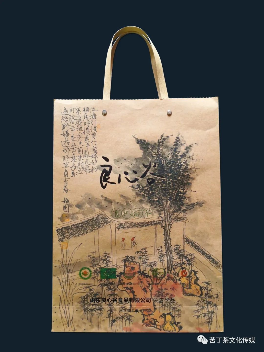 变废为宝---梅园创作的手提袋书画作品