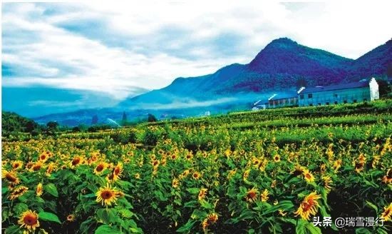 五一小长假去苏杭人多吗,五一杭州西湖人多吗