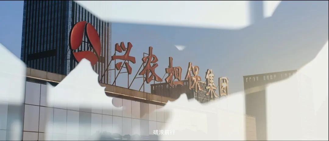 重庆市兴农担保集团,重庆兴农担保集团