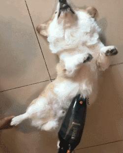 结膜炎流眼泪用眼药水没用怎么办,结膜炎眼睛流眼泪严重用什么药水