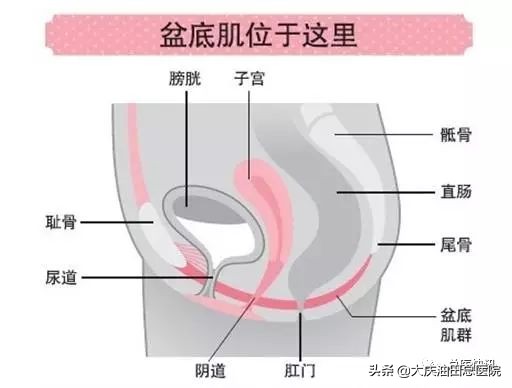年轻女性尿失禁的3大主因是什么,大龄女性尿失禁的症状有多少个