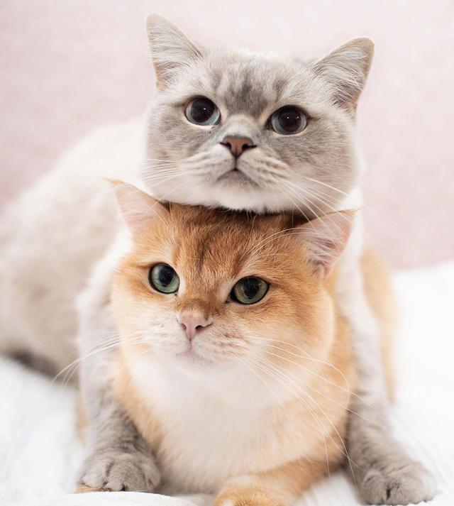 幽默笑话看一遍笑一遍专治不开心,动态幽默笑话最新