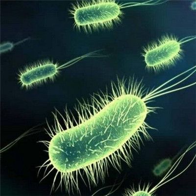 反复咳嗽支原体感染大人,反复发烧咳嗽甲流支原体都阴性